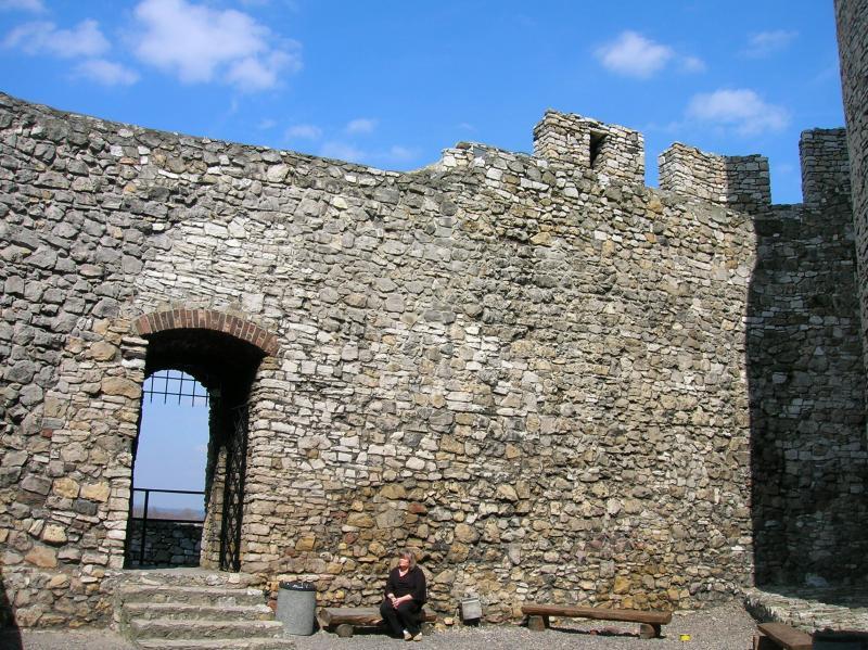 14575.jpg