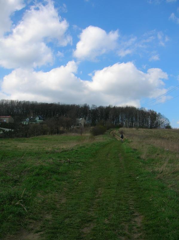 14588.jpg