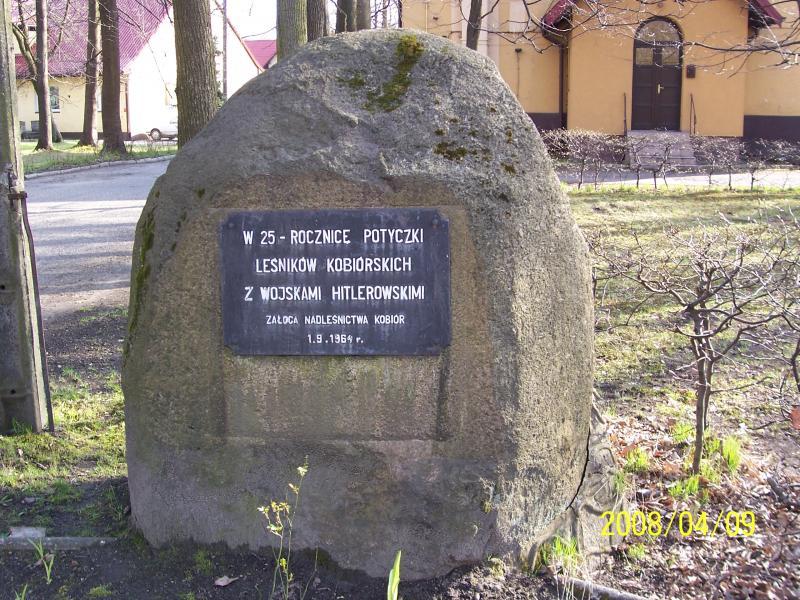14629.jpg