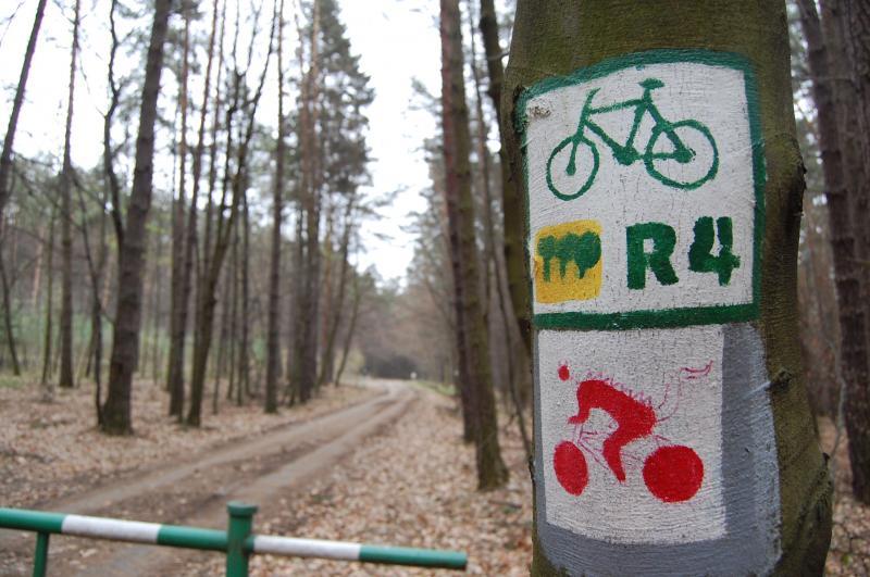 Jura krakowsko-częstochowska - szlak rowerowy czerwony