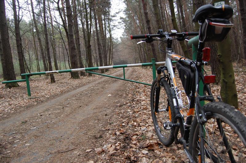 Jura krakowsko-częstochowska - szlak rowerowy czerwony