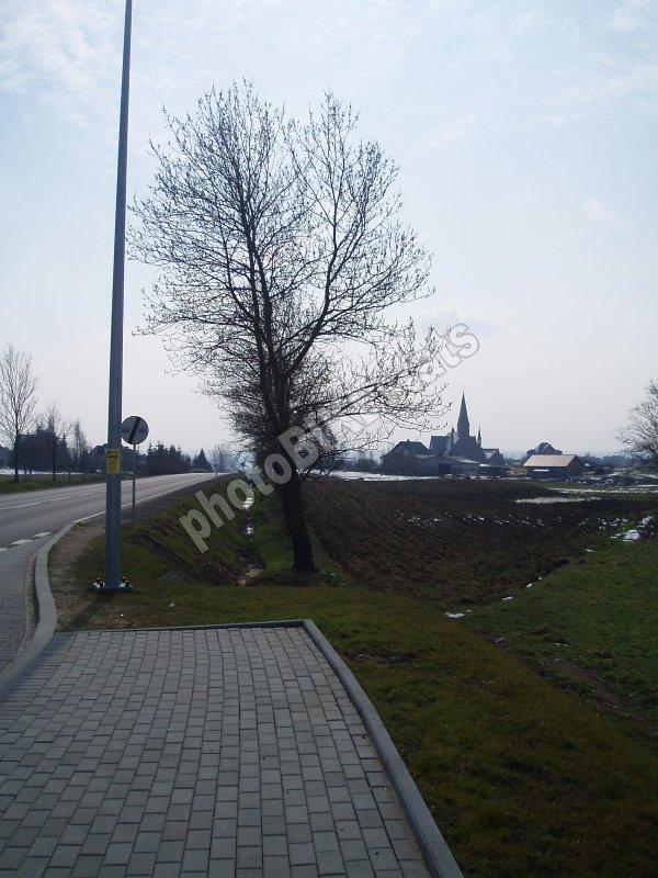 drzewo, duch, przed żukowem