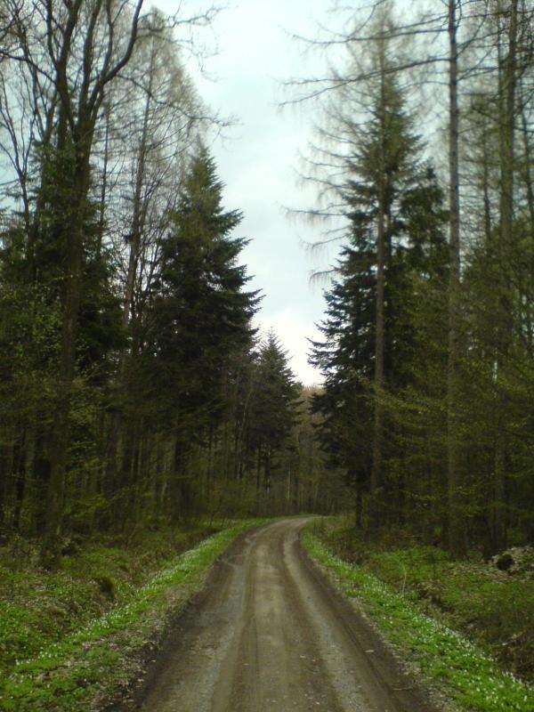 15092.jpg