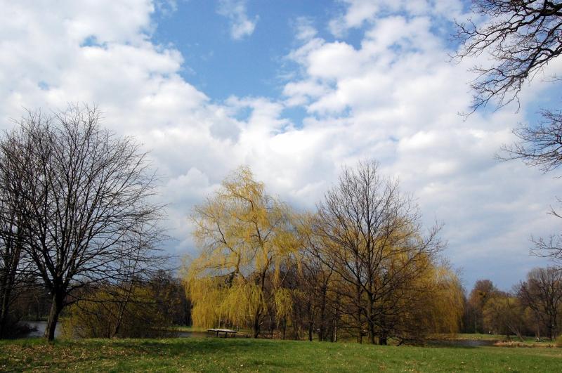 świerklaniec, park świerklaniec