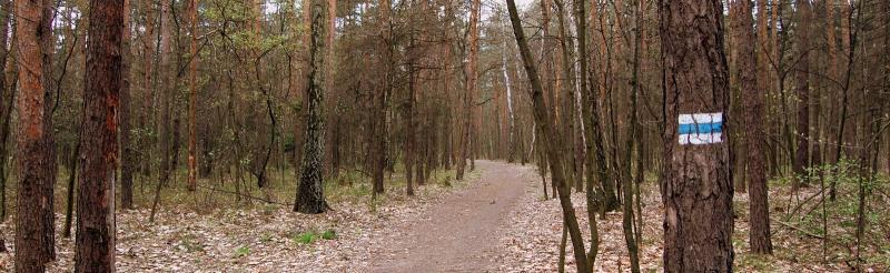 las, chechło