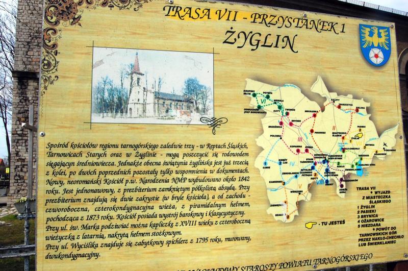 plan, żyglin