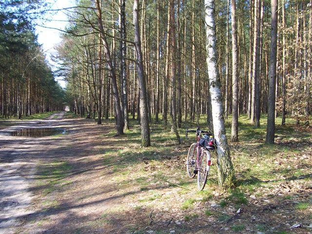 15204.jpg