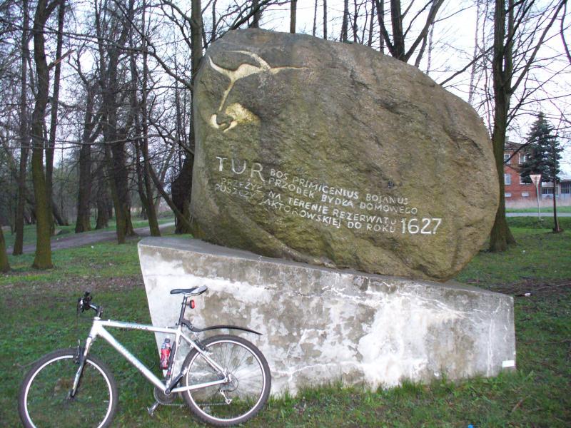 15216.jpg