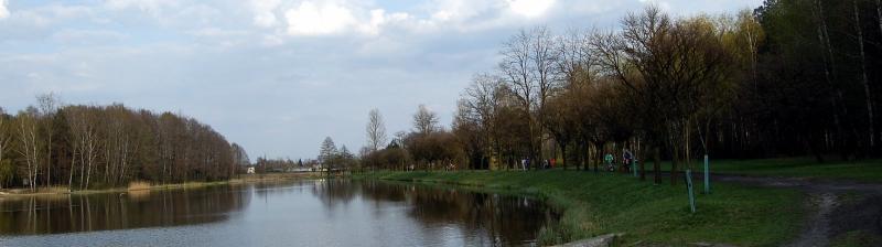 staw, park, kazimierz, sosnowiec