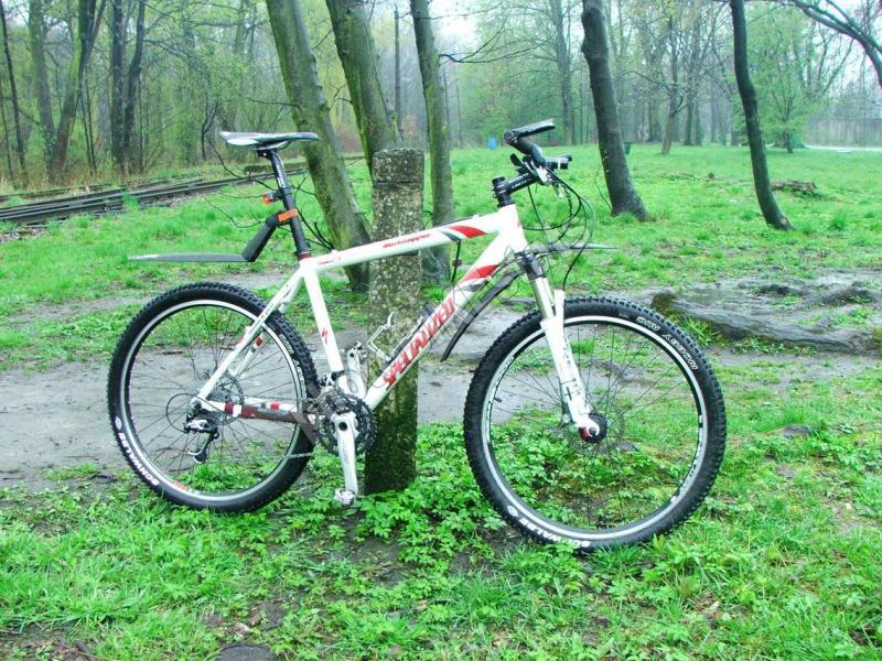 spec w deszczu