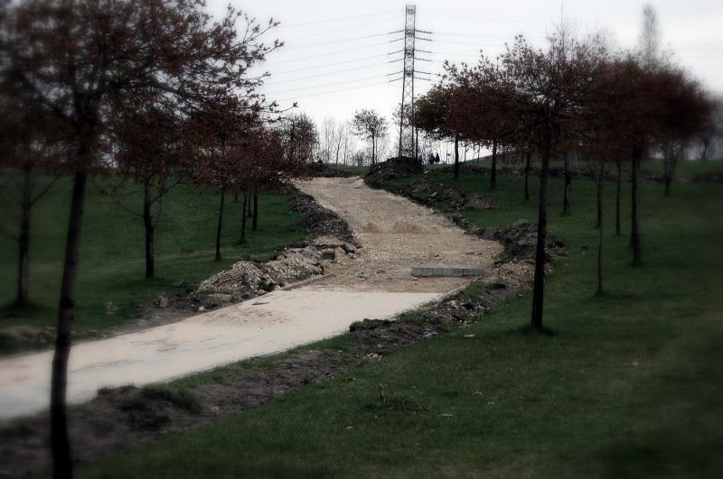 Sosnowiec - Park środula