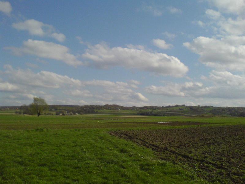 15450.jpg