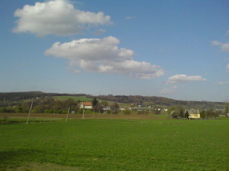 15453.jpg