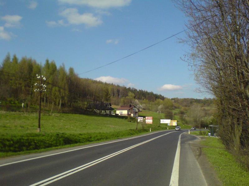 15455.jpg