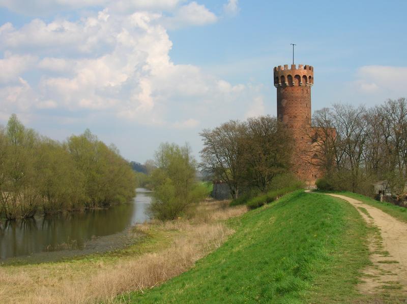 15495.jpg