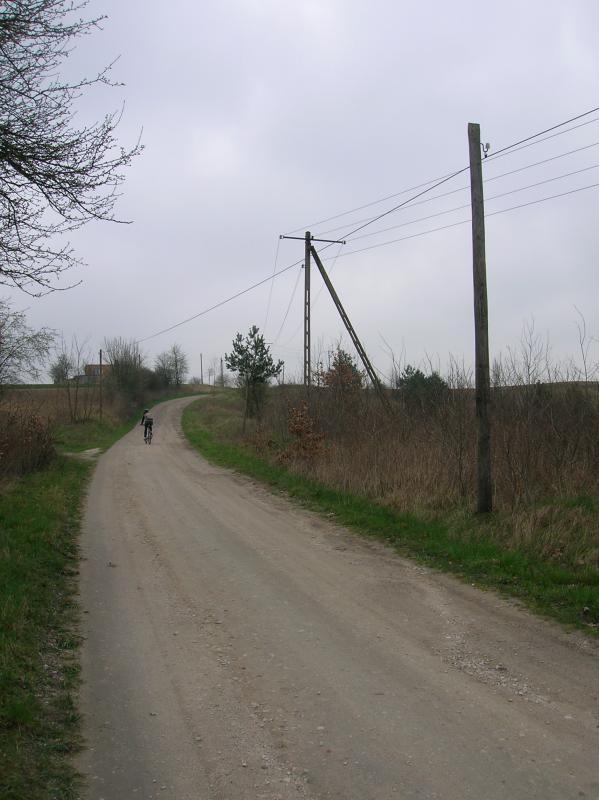 15509.jpg