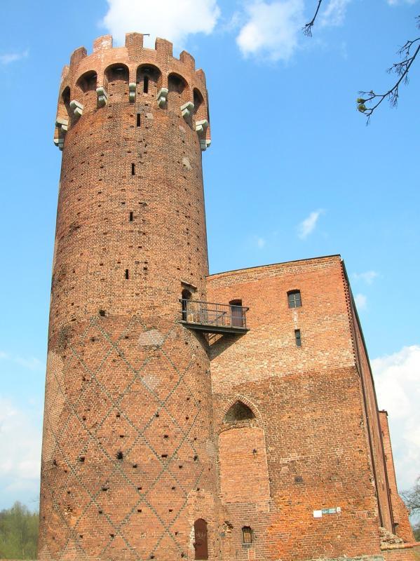 15541.jpg
