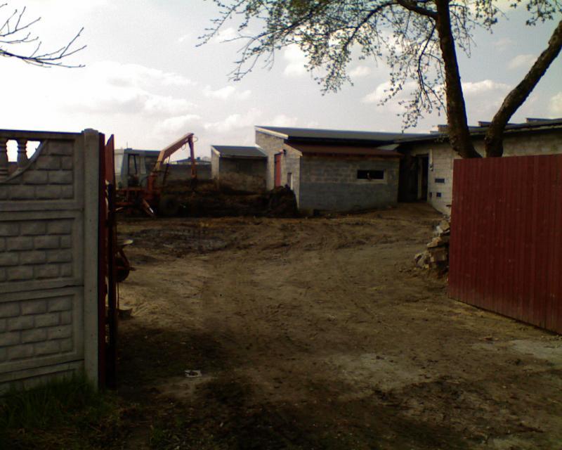 15556.jpg