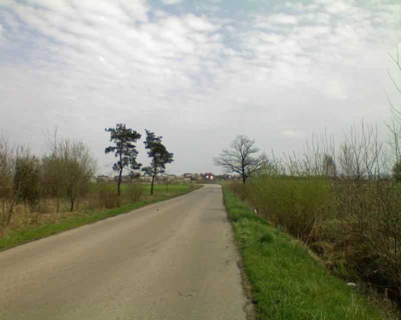 15558.jpg