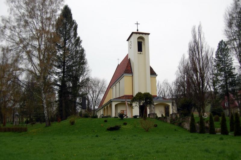 kościół, drzewa, rzepieniku strzyżewskim
