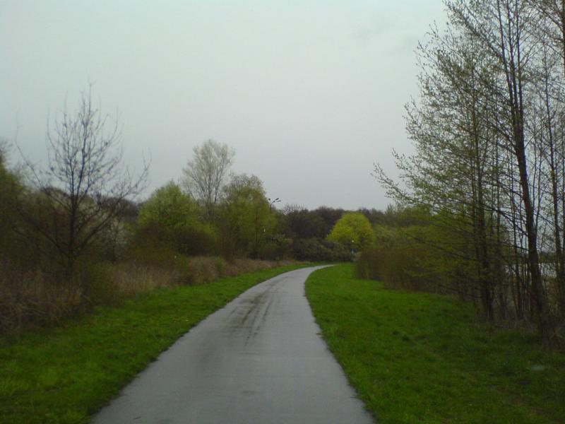 15676.jpg