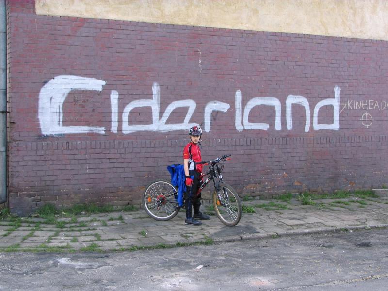 15684.jpg
