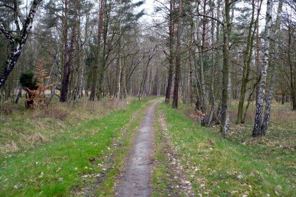 las, droga rowerowa, dawna trasa kolejki
