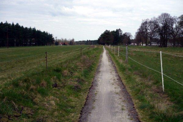 las, droga rowerowa, dawna trasa kolejki