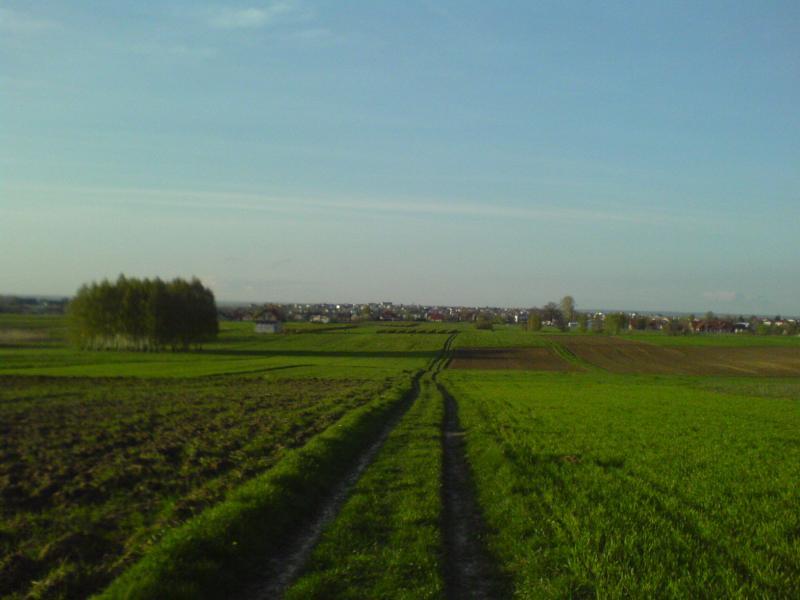 16009.jpg