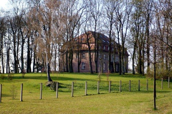 dom, drzewa, nadrensee