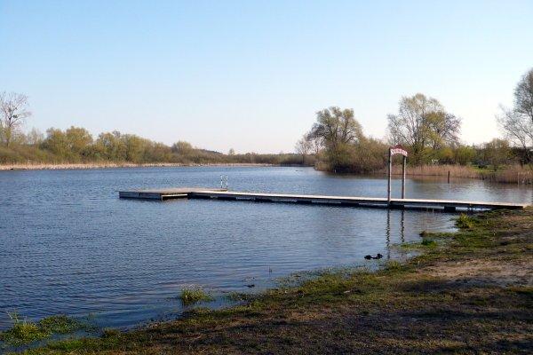 staw, woda, nadrensee