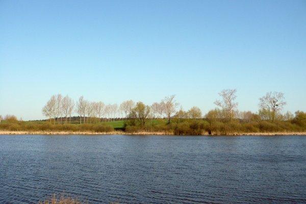staw, woda, nadrensee
