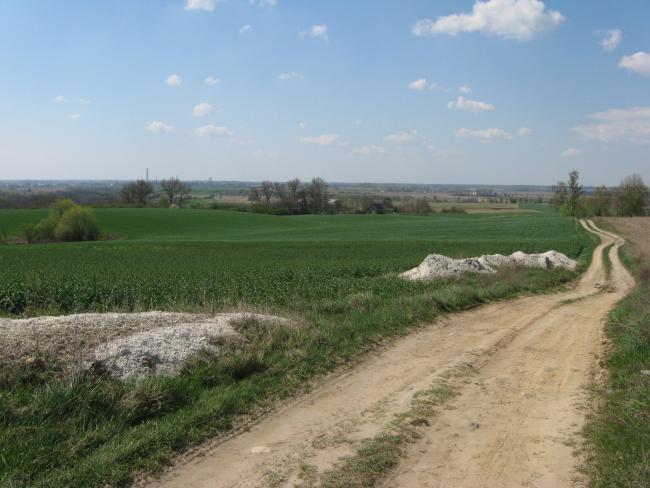 16193.jpg