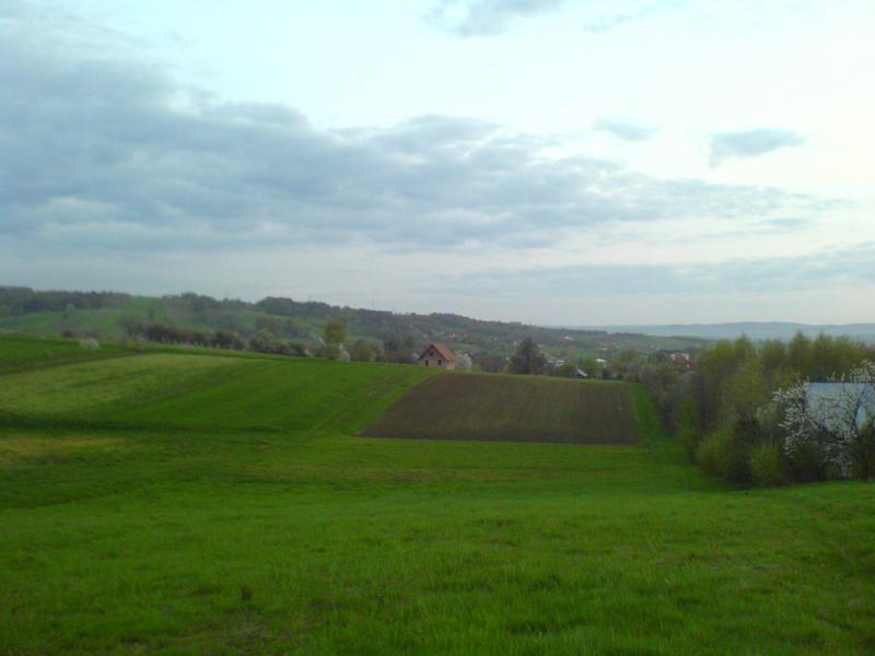 16235.jpg