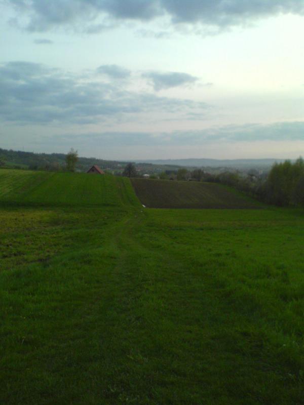 16236.jpg