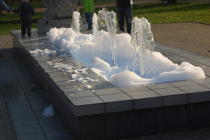 16300.jpg