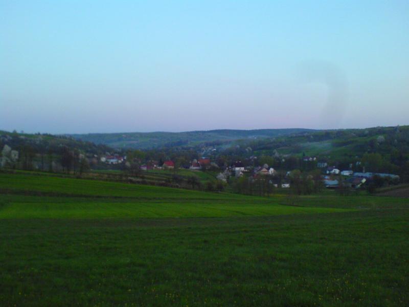 16452.jpg