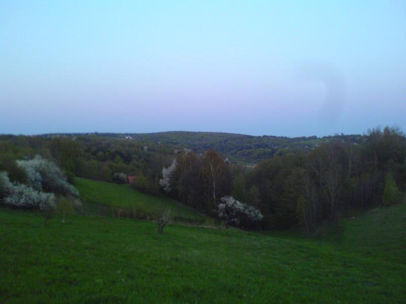 16453.jpg