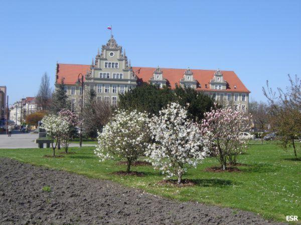 16472.jpg
