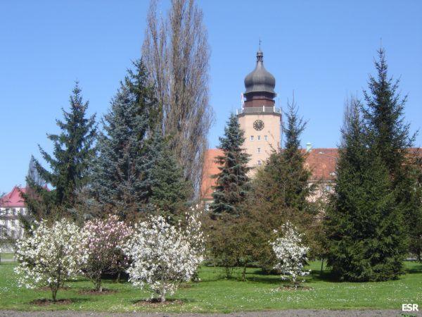 16473.jpg