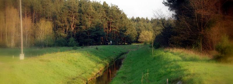 antoniów