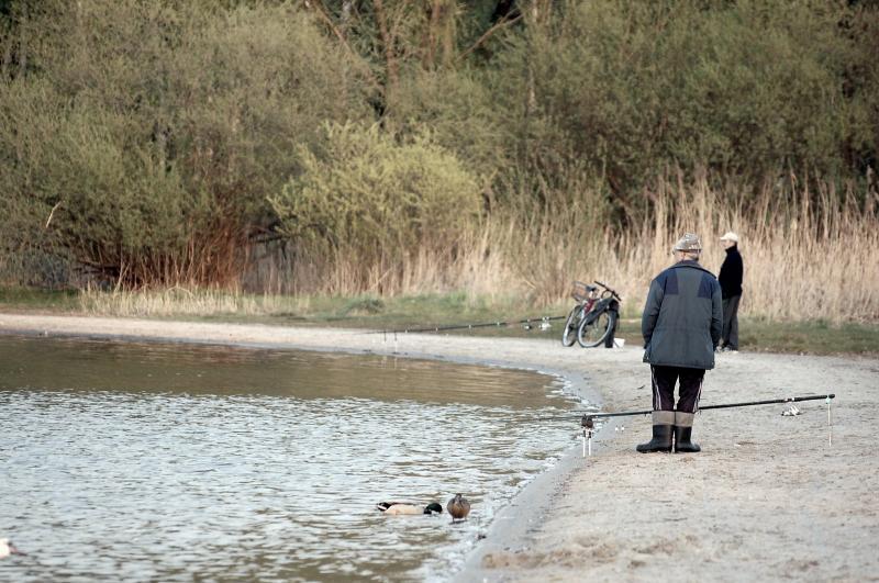 pogoria 3, dabrowa górnicza