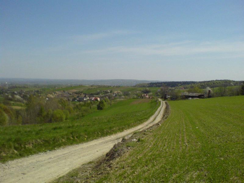 16547.jpg