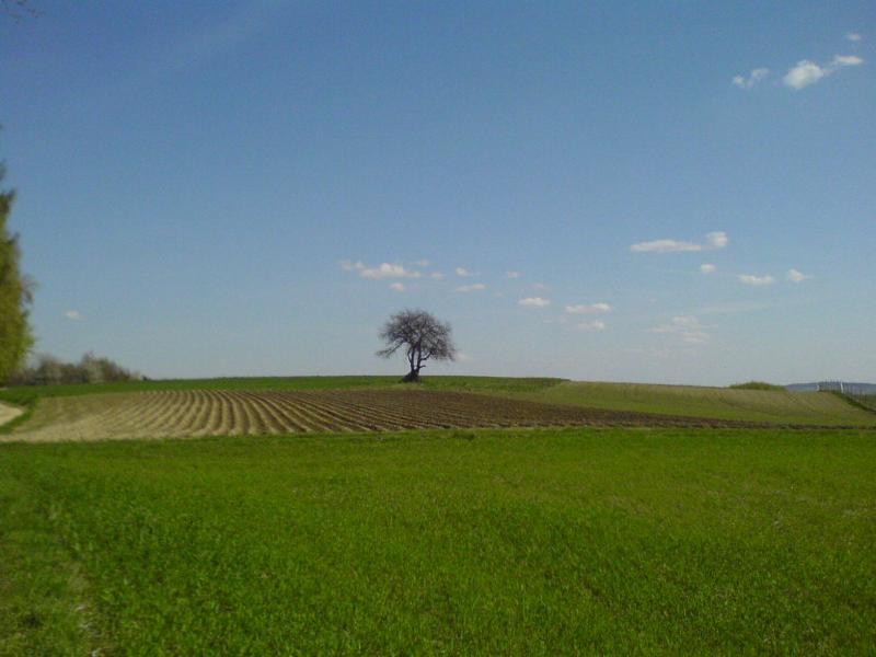 16554.jpg