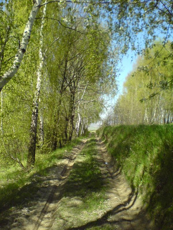 16568.jpg