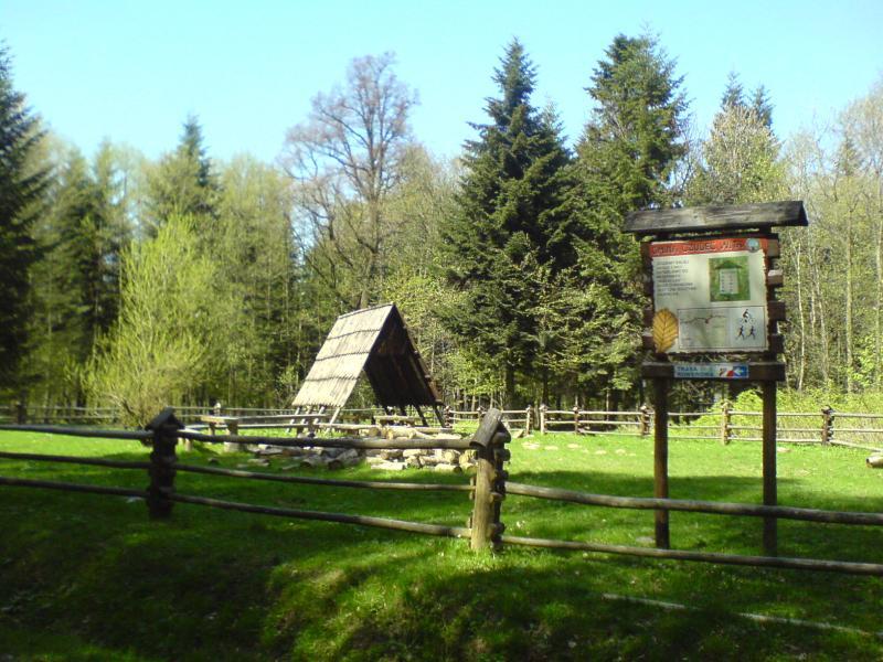 16574.jpg
