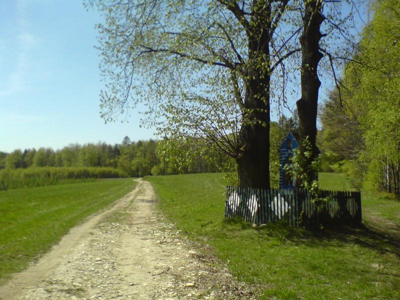 16575.jpg