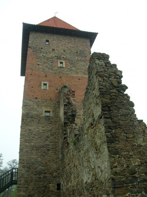 16651.jpg