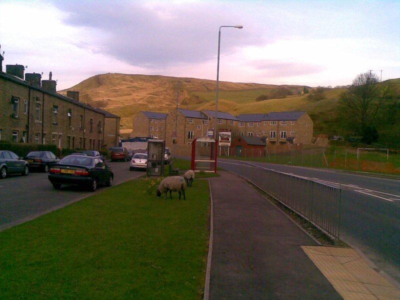 yorkshire, cornholme, todmorden