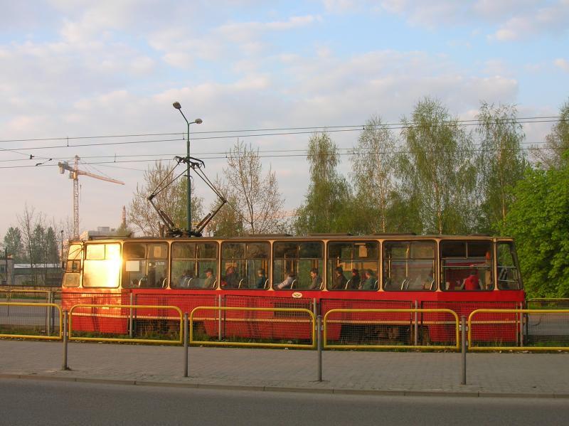 16787.jpg